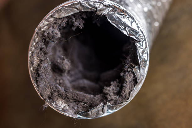 Best Air Duct Cleaning Near Me  in Hudson, IA
