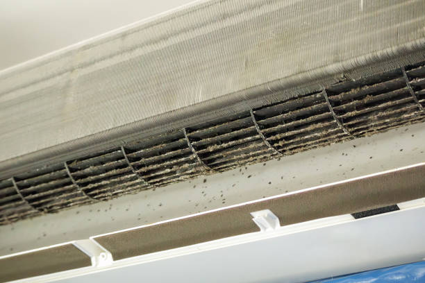 Best Ductwork Cleaning Services  in Hudson, IA